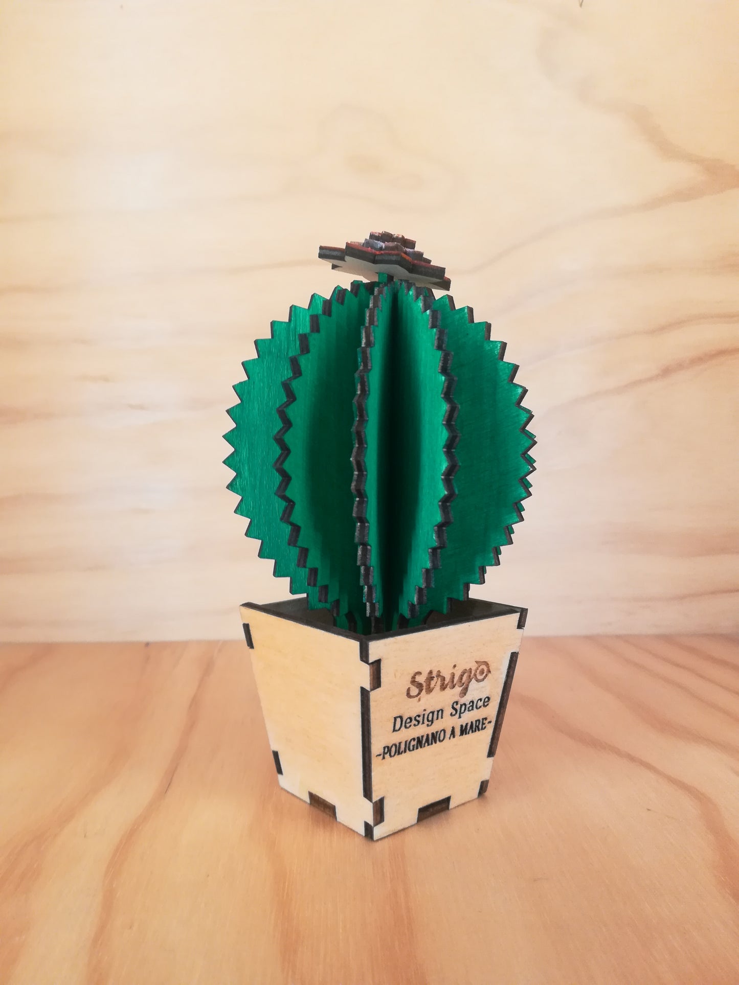 Design Space - Cactus Grusoni 01