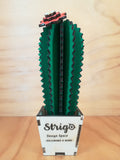 Design Space - Cactus Echinocereus 01