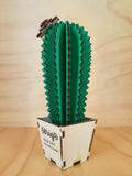 Design Space - Cactus Echinocereus 01