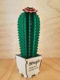 Design Space - Cactus Echinocereus 01