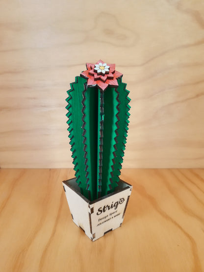 Design Space - Cactus Echinocereus 01