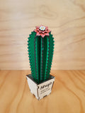 Design Space - Cactus Echinocereus 01