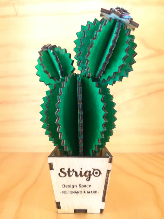 Design Space - Cactus Echinopsis 01