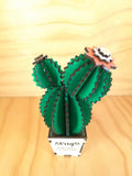 Design Space - Cactus Echinopsis 01