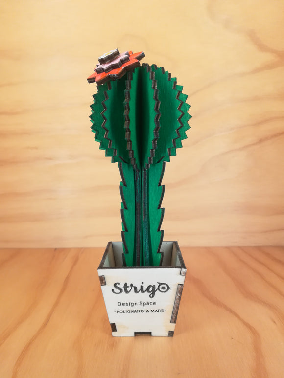 Design Space - Cactus Gimnocal 01