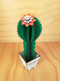 Design Space - Cactus Gimnocal 01