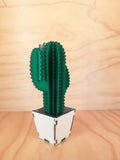 Design Space - Cactus San Pedro 01